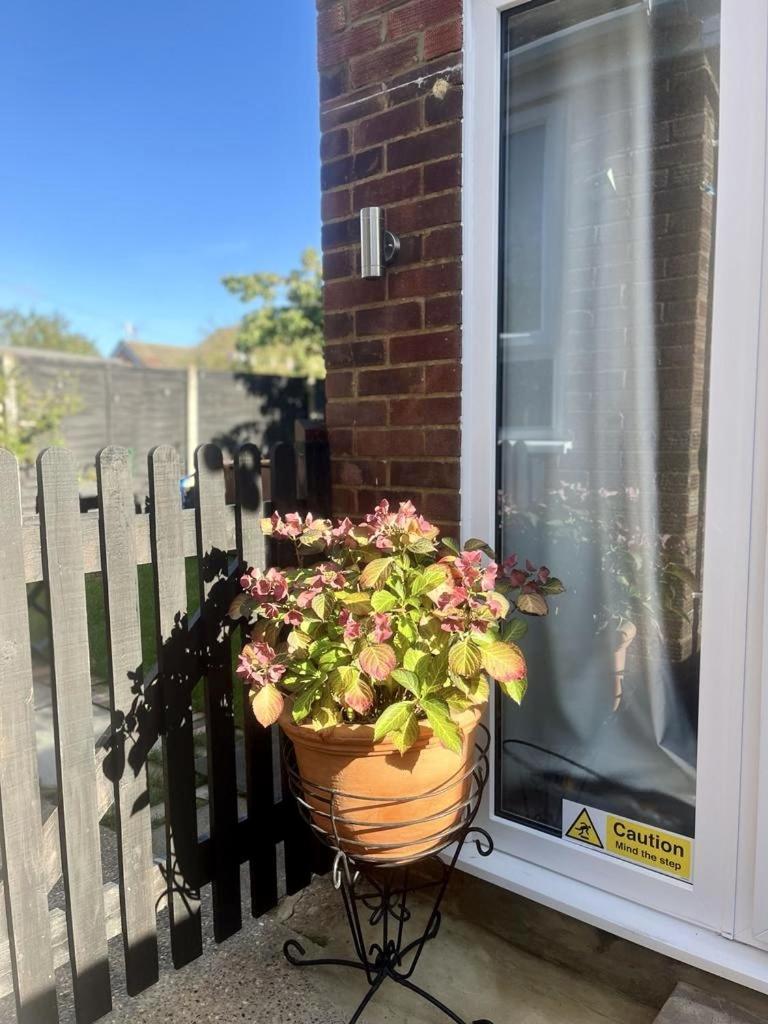 Great Near Airport - Super Host 2 Years Running! * Luton (Bedfordshire)